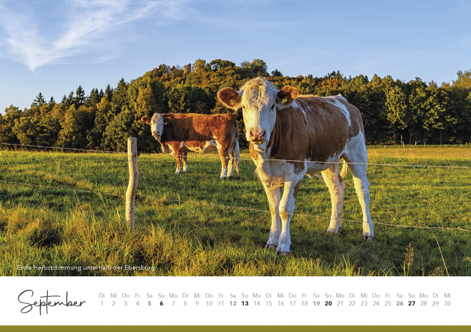 Rhönkalender 2027 – Motiv September, Herbststimmung unterhalb der Ebersburg
