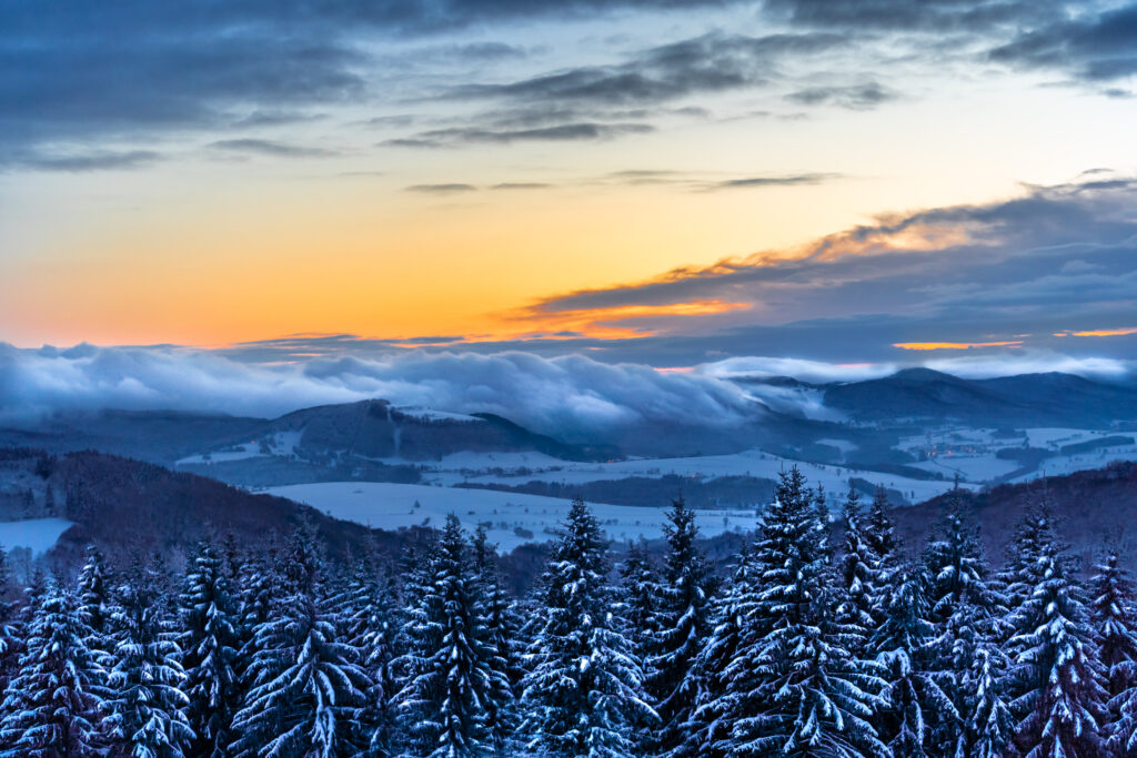 Nebelschwaden und Winterbäume in der Rhön